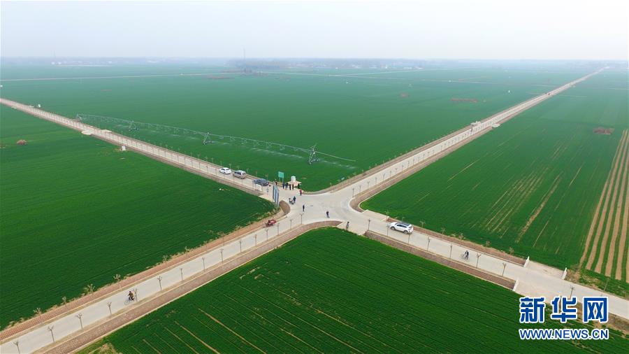 (來自一線的調(diào)查報告·圖文互動)(1)從“填飽肚子”到“過好日子”——改革開放40年河南農(nóng)業(yè)三重“蝶變記”