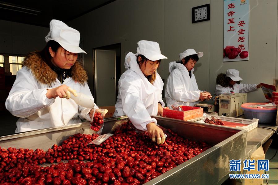 (來自一線的調(diào)查報告·圖文互動)(2)從“填飽肚子”到“過好日子”——改革開放40年河南農(nóng)業(yè)三重“蝶變記”