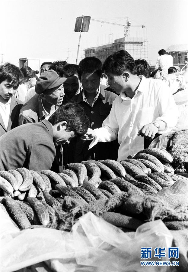 (改革先鋒風采·圖文互動)(3)王伯祥:山東壽光蔬菜產業(yè)的推動者