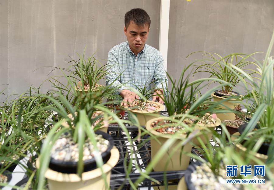 (圖文互動(dòng))(6)建設(shè)好生態(tài)宜居的美麗鄉(xiāng)村——從“千萬(wàn)工程”看習(xí)近平生態(tài)文明思想的生動(dòng)實(shí)踐和世界回響