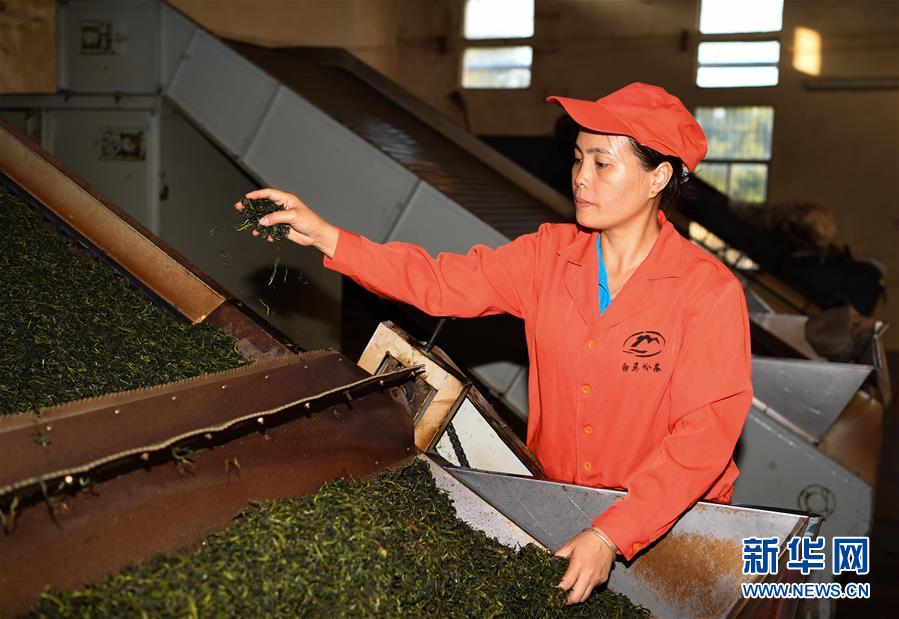 (奮進(jìn)新時(shí)代·迎接兩會(huì))(2)開(kāi)放發(fā)展——推動(dòng)形成全面開(kāi)放新格局