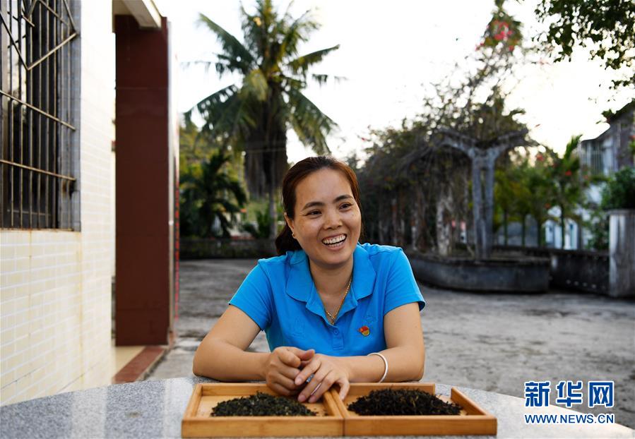 （奮進新時代&middot;迎接兩會）（3）開放發展&mdash;&mdash;推動形成全面開放新格局