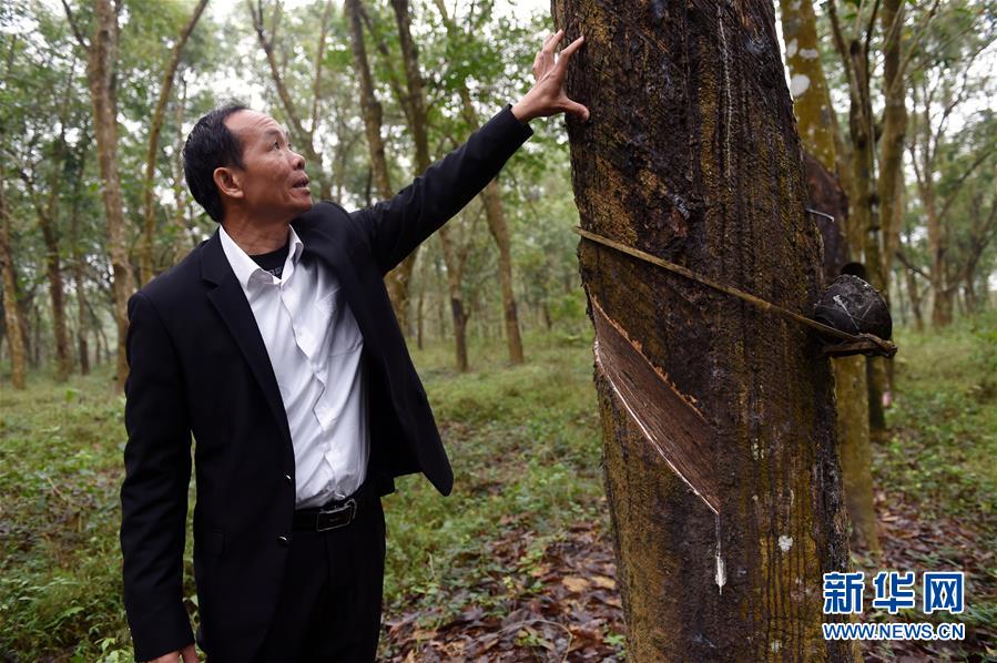 （兩會&middot;基層委員履職故事）（6）全國政協委員羊風極：讓家鄉在鄉村振興中發展得更好
