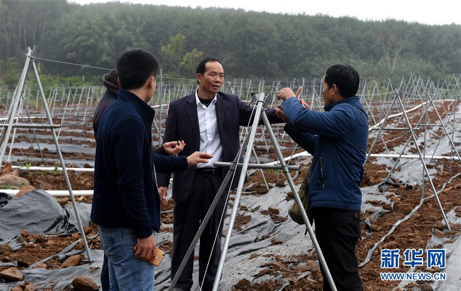 （兩會&middot;基層委員履職故事）（7）全國政協委員羊風極：讓家鄉在鄉村振興中發展得更好