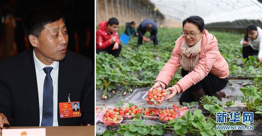 (兩會(huì)·影像鏈接)全國(guó)人大代表唐廷波:加強(qiáng)落實(shí)強(qiáng)農(nóng)惠農(nóng)政策 增加農(nóng)民收入