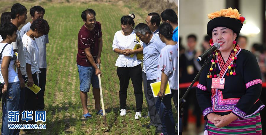 （兩會&middot;影像鏈接）全國政協委員張敏：培養新型農民 助力脫貧攻堅