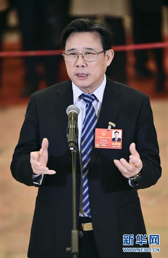 （兩會(huì)）（8）全國(guó)人大代表接受采訪(fǎng)