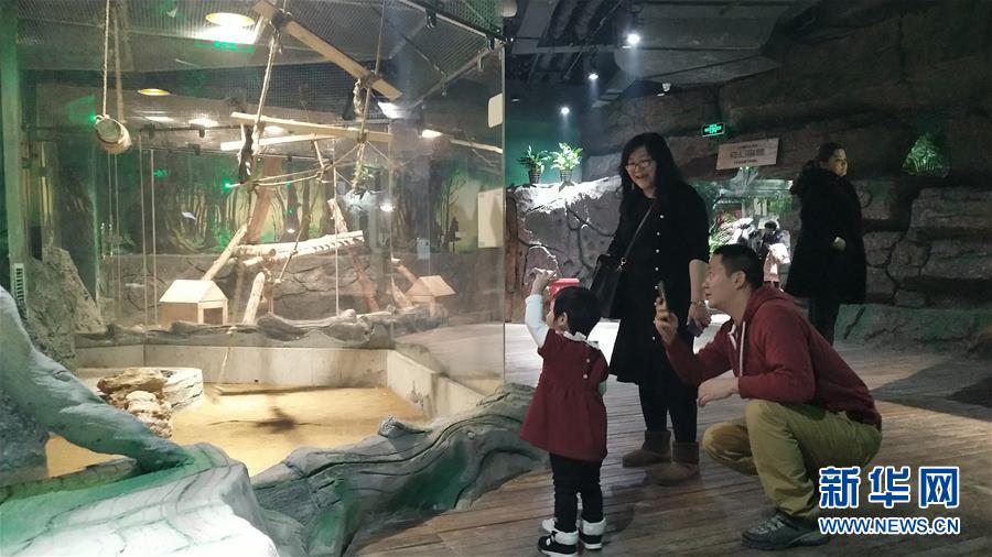 (新春走基層·圖文互動)(1)新疆“新年俗”:動物王國學(xué)知識 冰雪世界強身體