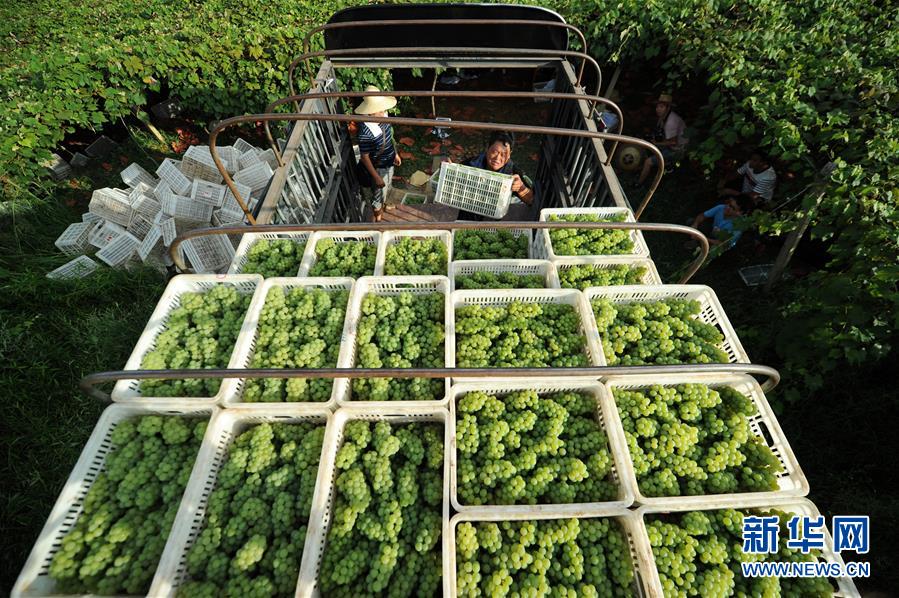 (兩會前夕看落實·圖文互動)(7)決戰脫貧攻堅 奮力后發趕超——貴州落實習近平總書記全國兩會重要講話精神紀實