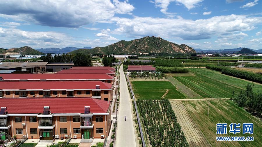 （新華全媒頭條&middot;圖文互動(dòng)）（5）承諾有&ldquo;干貨&rdquo; 落實(shí)有&ldquo;硬招&rdquo;&mdash;&mdash;&ldquo;全國兩會(huì)部長(zhǎng)通道&rdquo;上承諾踐行情況掃描