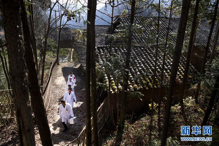 （新華全媒頭條&middot;圖文互動(dòng)）（6）承諾有&ldquo;干貨&rdquo; 落實(shí)有&ldquo;硬招&rdquo;&mdash;&mdash;&ldquo;全國兩會(huì)部長(zhǎng)通道&rdquo;上承諾踐行情況掃描