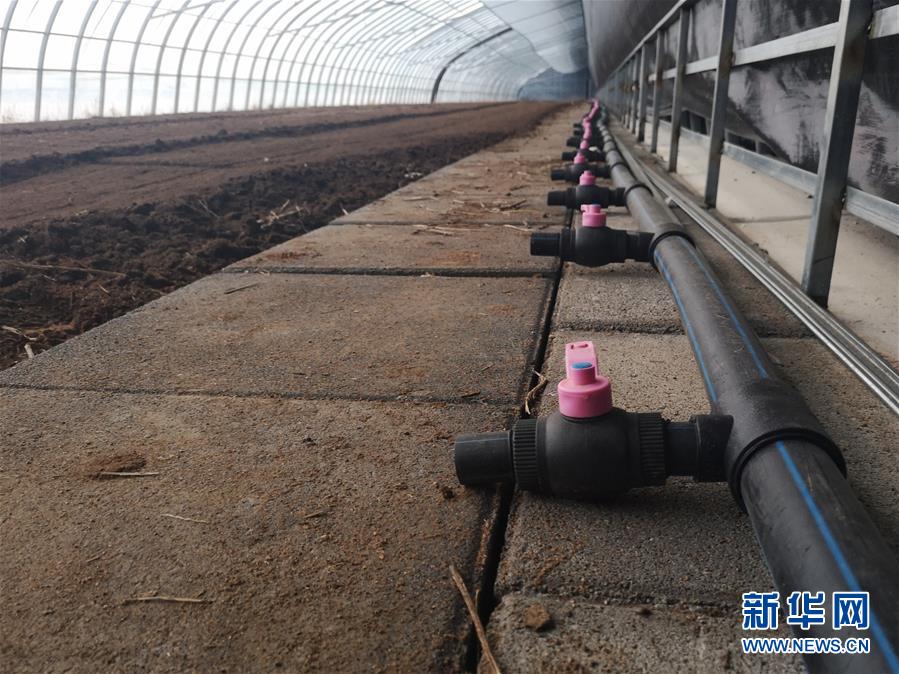 (在習近平新時代中國特色社會主義思想指引下——新時代新作為新篇章·圖文互動)(3)黑土地上感受“中國飯碗”新變化