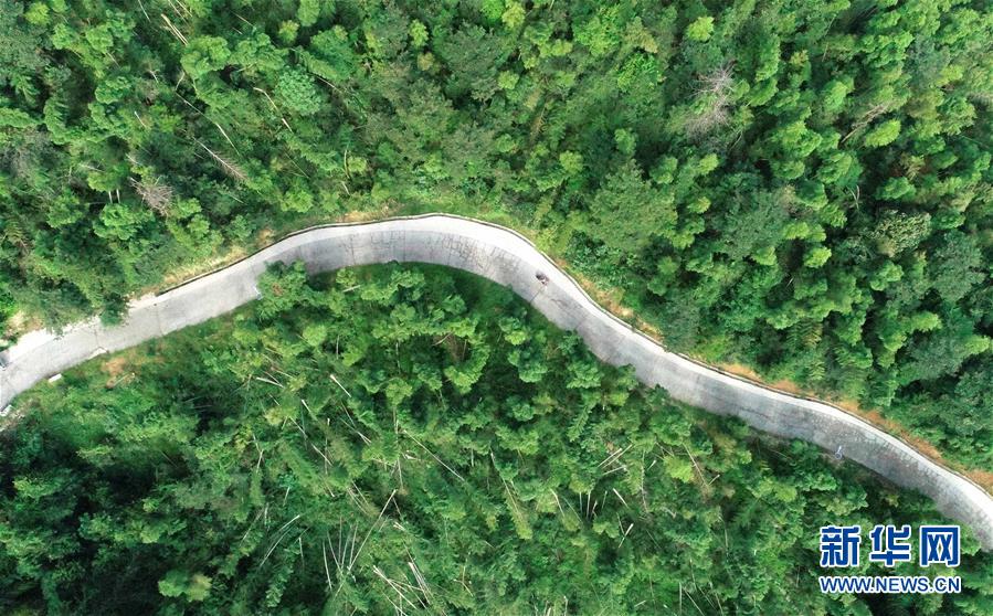 （中國網事&middot;感動2019&middot;圖文互動）（7）鄉村教師高自仁：60多根拐杖，撐起42年教學路