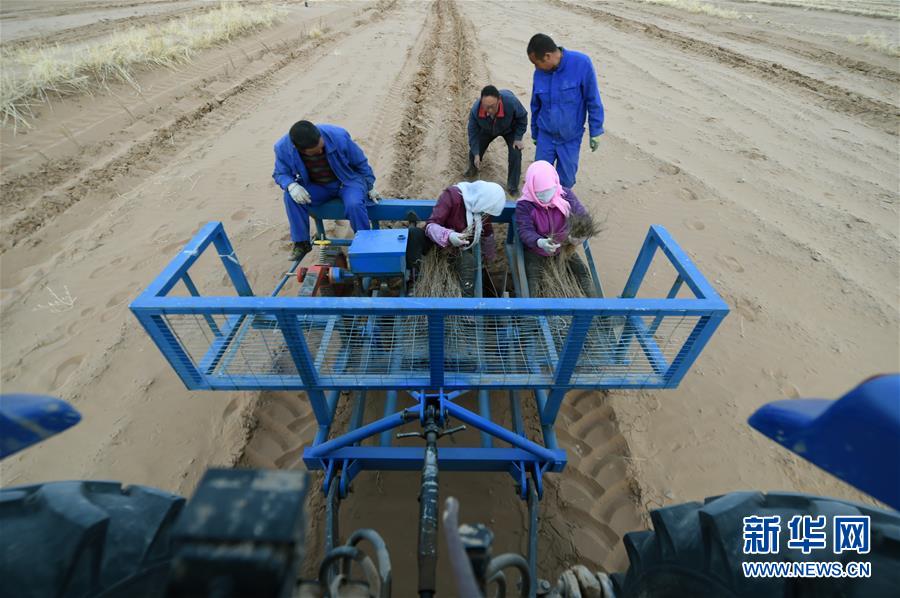 （新華全媒頭條&middot;圖文互動）（12）八步沙&middot;六老漢&middot;三代人