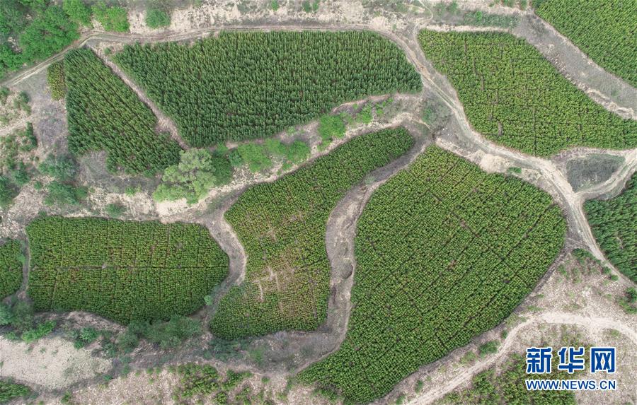 (新華全媒頭條·北京世園會(huì)·圖文互動(dòng))(8)共繪人類生態(tài)文明美麗畫卷——從北京世園會(huì)看中國綠色發(fā)展的“世界貢獻(xiàn)”