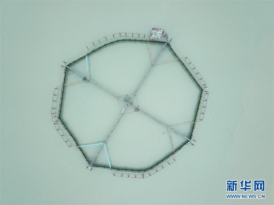 （壯麗70年&middot;奮斗新時(shí)代&middot;圖文互動(dòng)）（5）&ldquo;東海明珠&rdquo;挺立一座&ldquo;精神燈塔&rdquo;&mdash;&mdash;追尋浙江臺(tái)州大陳島墾荒精神