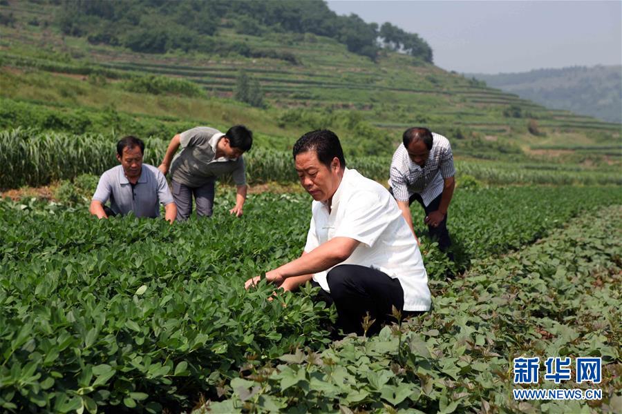 (新華全媒頭條·圖文互動(dòng))(1)讓奮斗成為人生最亮麗的底色——寫在2019年“五一”國(guó)際勞動(dòng)節(jié)到來(lái)之際
