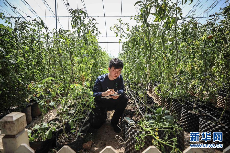 （新華全媒頭條&middot;圖文互動）（5）青春萬歲 強(qiáng)國有我