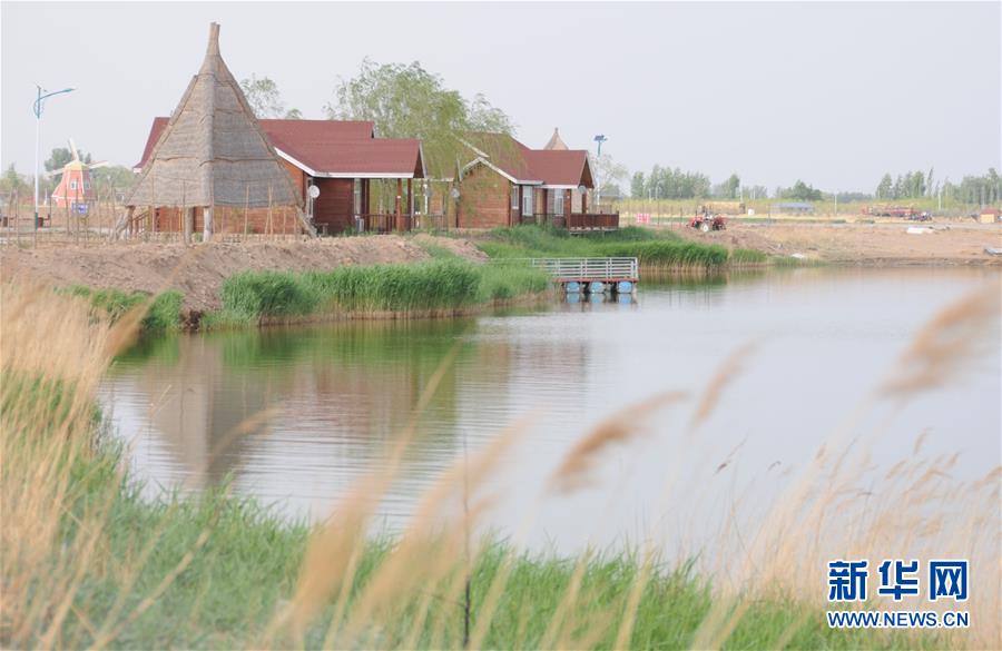 （北京世園會&middot;圖文互動）（4）&ldquo;百湖之鄉(xiāng)&rdquo;磴口縣再現(xiàn)生態(tài)田園風(fēng)光