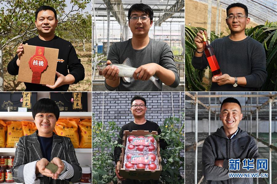 (在習近平新時代中國特色社會主義思想指引下——新時代新作為新篇章·圖文互動)(1)在綠色田野上書寫青春答卷——幾位“新農民”的返鄉創業故事