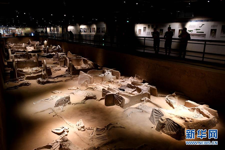 (新華全媒頭條·圖文互動)(4)“若問古今興廢事,請君只看洛陽城”——千年古都“烹制”博物館盛宴