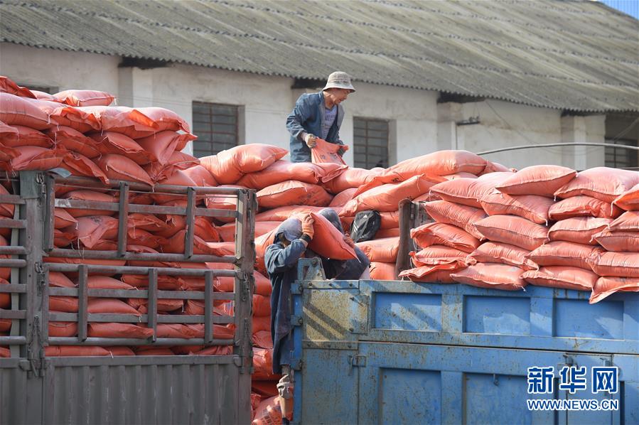 (在習近平新時代中國特色社會主義思想指引下——新時代新作為新篇章·圖文互動)(1)云南省陸良縣:農民給供銷社打“白條”