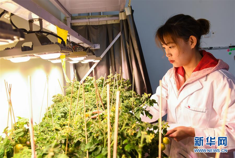 (圖文互動)(3)柳暗花明又一村——“今日之中國”系列述評之三