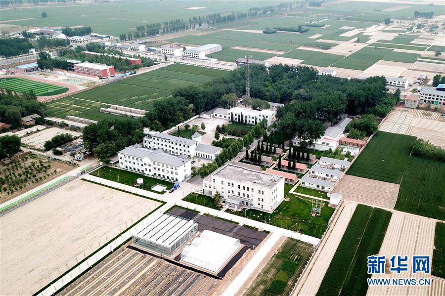 （新華全媒頭條&middot;愛國情 奮斗者&middot;圖文互動(dòng)）（12）把論文寫在祖國的大地上&mdash;&mdash;中國農(nóng)業(yè)大學(xué)46年扎根河北曲周服務(wù)鄉(xiāng)村振興紀(jì)實(shí)