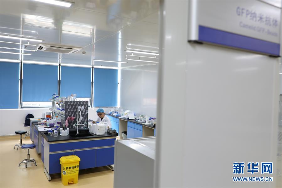 (在習近平新時代中國特色社會主義思想指引下——新時代新作為新篇章·圖文互動)(6)從種地到“種”高科技產業——“改革村”的新思維