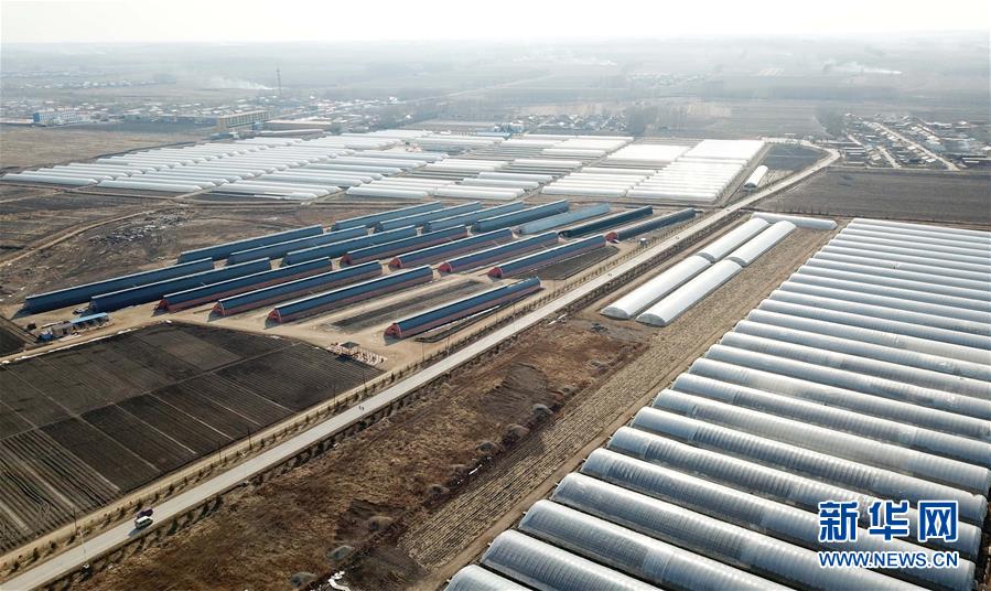 (在習(xí)近平新時(shí)代中國特色社會(huì)主義思想指引下——新時(shí)代新作為新篇章·圖文互動(dòng))(3)“無人作業(yè)”來臨 綠色食品“當(dāng)家”——黑龍江探索現(xiàn)代農(nóng)業(yè)發(fā)展路徑