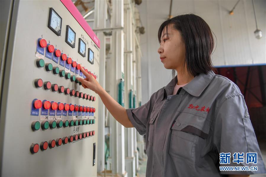 (在習(xí)近平新時(shí)代中國(guó)特色社會(huì)主義思想指引下——新時(shí)代新作為新篇章·圖文互動(dòng))(5)大學(xué)生種田讓農(nóng)民“老把式”開了眼——吉林長(zhǎng)白山下的稻田新事