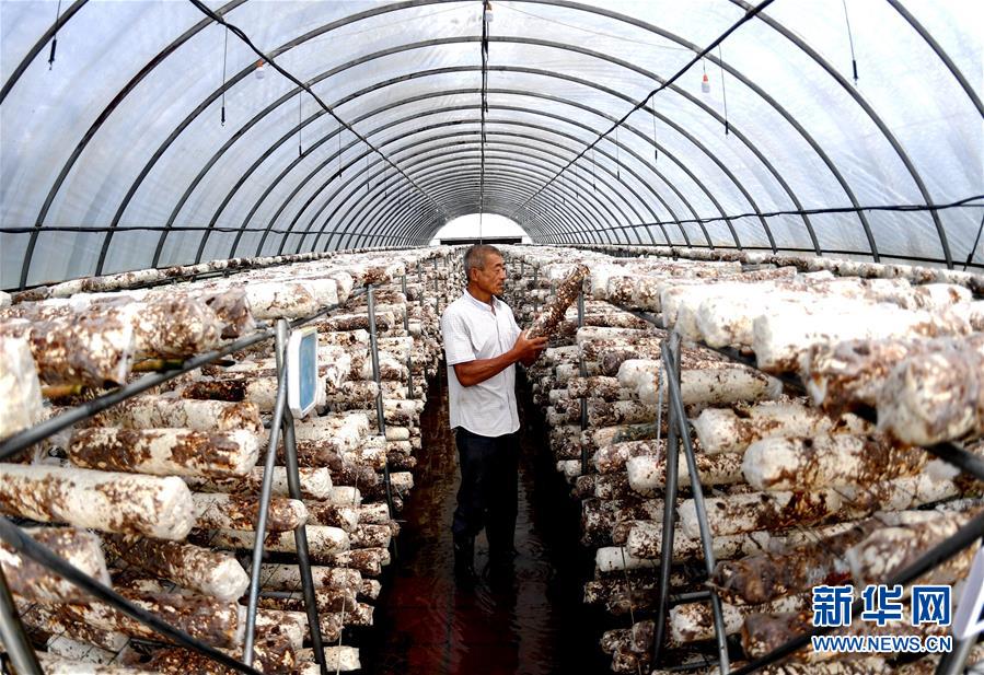 (新華全媒頭條·圖文互動)(10)一個傳統農業縣的脫貧之路——來自河北新河的調查報告