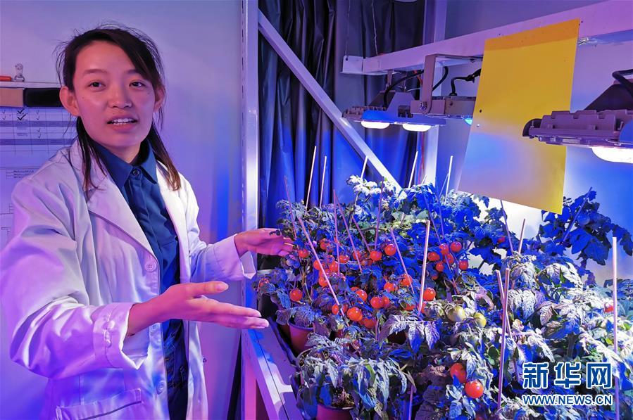 (愛國情 奮斗者·圖文互動)(4)池建義團(tuán)隊(duì):把論文寫在產(chǎn)品上