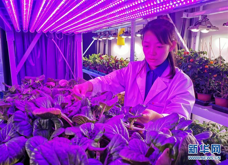 (愛國情 奮斗者·圖文互動)(5)池建義團隊:把論文寫在產品上