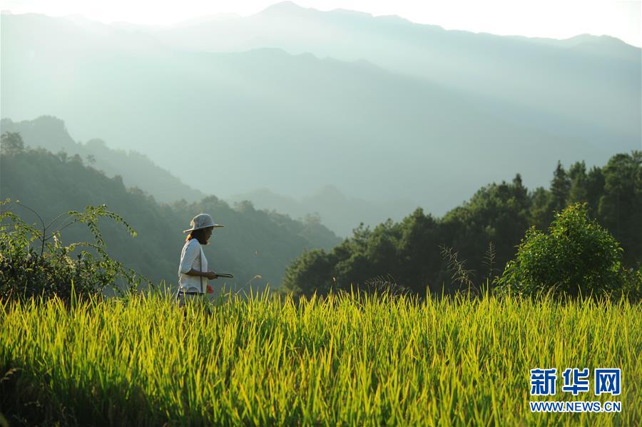 (新華全媒頭條·圖文互動)(9)咱們村里的年輕人——記奮戰在貴州脫貧攻堅一線的青年