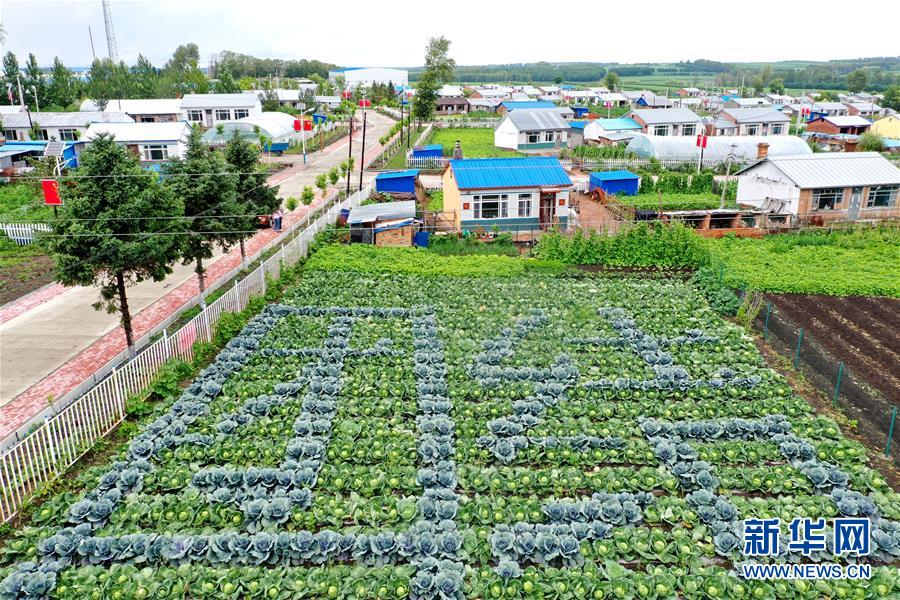 (圖文互動)(1)(在習(xí)近平新時(shí)代中國特色社會主義思想指引下——新時(shí)代新作為新篇章)“團(tuán)結(jié)”振興團(tuán)結(jié)村——黑龍江拜泉縣團(tuán)結(jié)村凝聚民心攻堅(jiān)脫貧