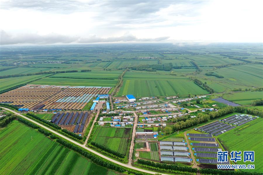 (圖文互動)(2)(在習(xí)近平新時(shí)代中國特色社會主義思想指引下——新時(shí)代新作為新篇章)“團(tuán)結(jié)”振興團(tuán)結(jié)村——黑龍江拜泉縣團(tuán)結(jié)村凝聚民心攻堅(jiān)脫貧