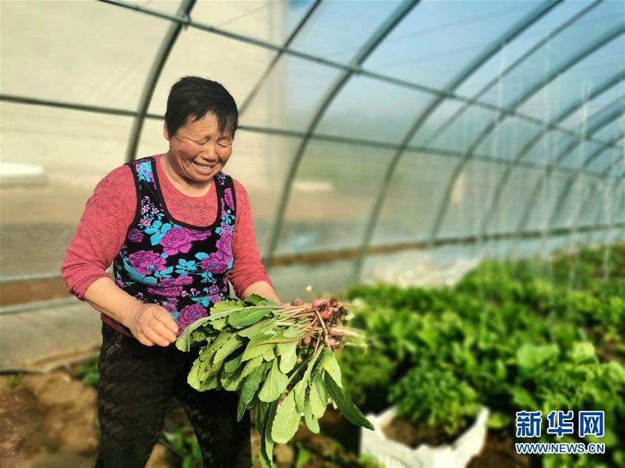 (圖文互動)(3)(在習(xí)近平新時(shí)代中國特色社會主義思想指引下——新時(shí)代新作為新篇章)“團(tuán)結(jié)”振興團(tuán)結(jié)村——黑龍江拜泉縣團(tuán)結(jié)村凝聚民心攻堅(jiān)脫貧