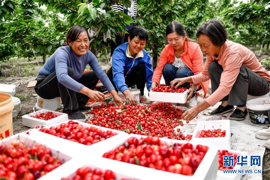 (在習近平新時代中國特色社會主義思想指引下——新時代新作為新篇章·圖文互動)(2)中條山下綠意濃——一個“資源窮縣”的生態發展之路
