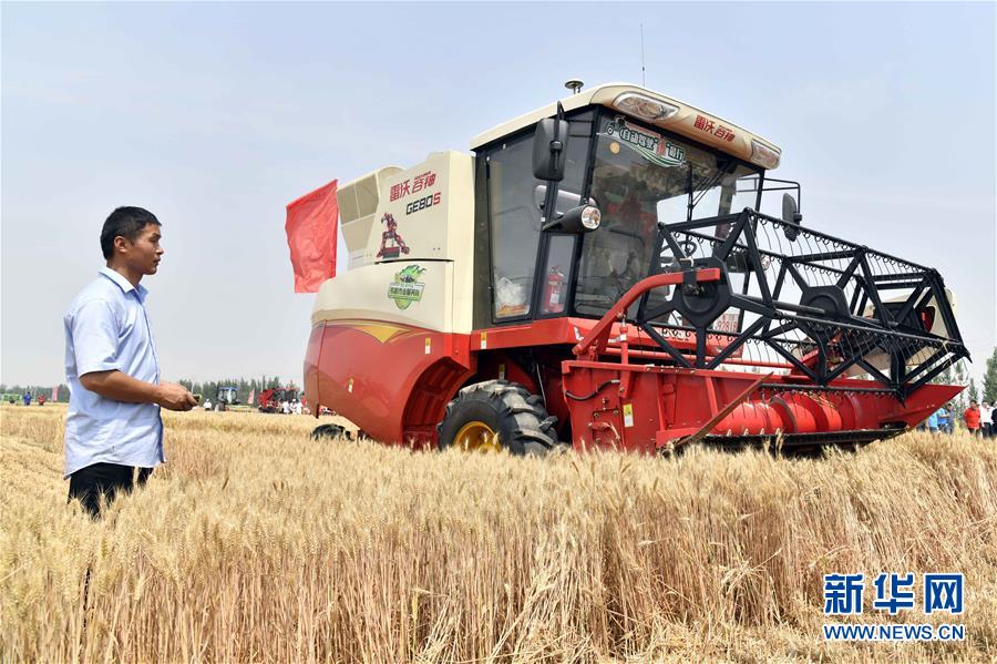 (壯麗70年·奮斗新時代——共和國發展成就巡禮)(2)看今朝齊風魯韻 七十載芳華正勁——新中國成立以來山東領先發展紀實