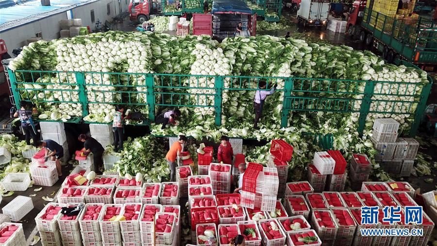 (壯麗70年·奮斗新時代——共和國發展成就巡禮)(5)看今朝齊風魯韻 七十載芳華正勁——新中國成立以來山東領先發展紀實