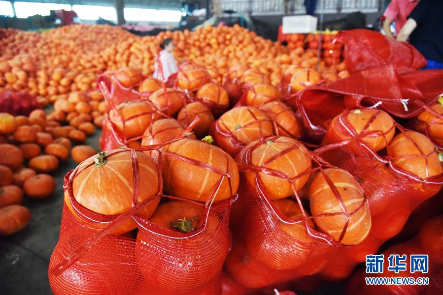 (壯麗70年·奮斗新時代——共和國發展成就巡禮)(6)看今朝齊風魯韻 七十載芳華正勁——新中國成立以來山東領先發展紀實