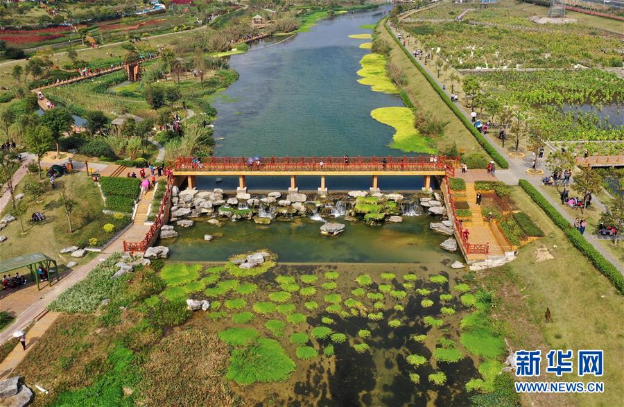 (壯麗70年 奮斗新時(shí)代——推動(dòng)高質(zhì)量發(fā)展調(diào)研行·圖文互動(dòng))(4)亮出一江清水優(yōu)質(zhì)“成績(jī)單”——廣西重點(diǎn)流域水環(huán)境綜合治理觀察