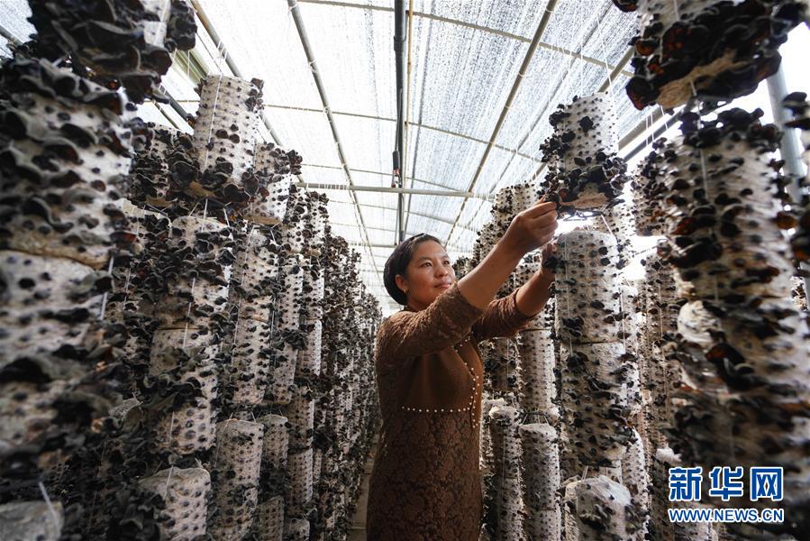 (新華全媒頭條·決戰決勝脫貧攻堅·圖文互動)(6)以沖刺的狀態跑出決勝的姿態——“三區三州”甘肅深貧區脫貧攻堅報告