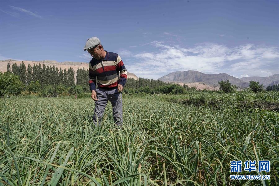 (決戰(zhàn)決勝脫貧攻堅(jiān)·圖文互動(dòng))(6)記者手記:尋訪昆侖“桃花源”的“祛病”良方