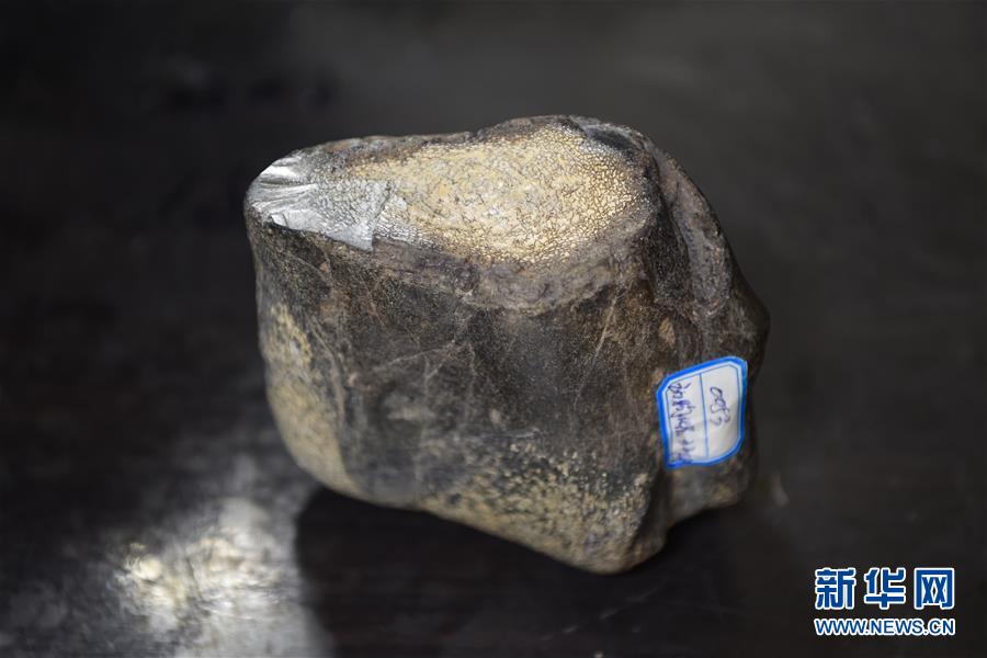 (圖文互動)(7)黑龍江海倫發(fā)現(xiàn)罕見古生物群