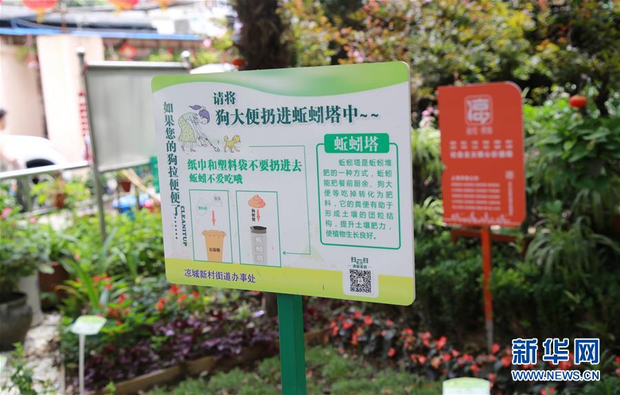 （新華全媒頭條&middot;圖文互動）（5）上海：&ldquo;三只桶&rdquo;里看變化