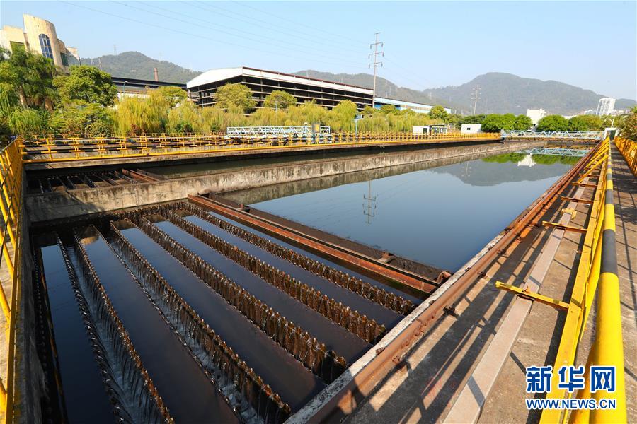 (新華全媒頭條·四中全會精神在基層·圖文互動)(2)“活優富美”——八閩大地感受“中國之治”的生動樣本