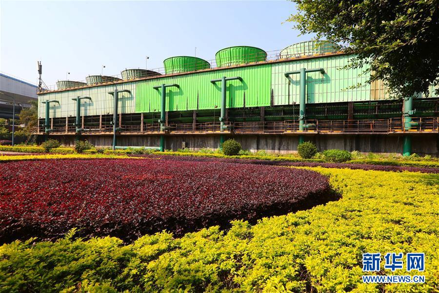 (新華全媒頭條·四中全會精神在基層·圖文互動)(4)“活優富美”——八閩大地感受“中國之治”的生動樣本