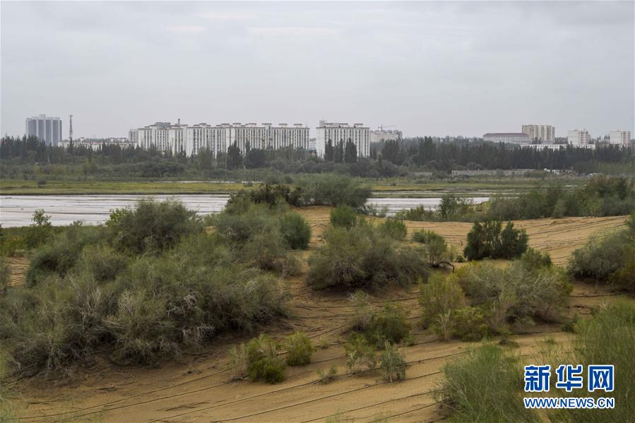 （新華全媒頭條&middot;圖文互動）（1）大漠小城的絕地反擊